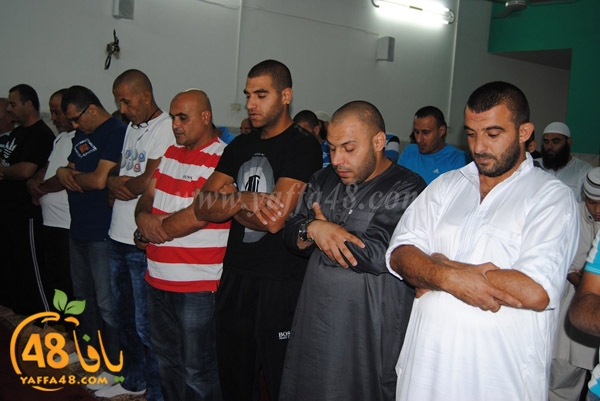 trawe7 zatona (11).JPG